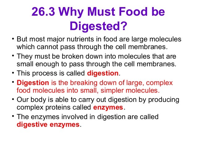 Digestion In Humans digestion-in-humans