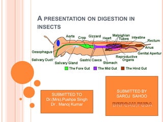 A PRESENTATION ON DIGESTION IN
INSECTS
SUBMITTED BY
SAROJ SAHOOSUBMITTED TO
Dr.(Mrs).Pushpa Singh
Dr . Manoj Kumar
 