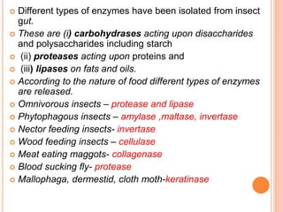 Digestion in insect | PPTX