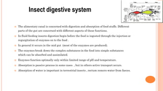 Digestive system of insect and it's physiology.pdf
