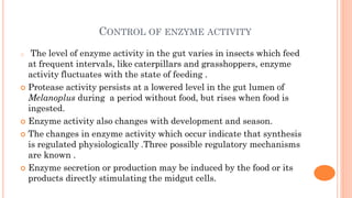 Digestive system of insect and it's physiology.pdf