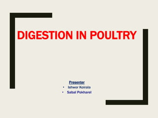 DIGESTION IN POULTRY
Presenter
• Ishwor Koirala
• Sabal Pokharel
 