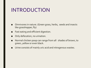 INTRODUCTION
■ Omnivores in nature. (Green grass, herbs, seeds and insects
like grasshopper, fly)
■ Fast eating and efficient digestion.
■ Only defecation, no urination.
■ Normal chicken poop can range from all shades of brown, to
green, yellow or even black.
■ Urine consists of mainly uric acid and nitrogenous wastes.
 
