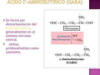 Digestion Metabolismo De Proteinas Y Aminoacios