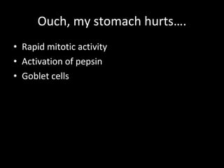 Ouch, my stomach hurts…. Rapid mitotic activity Activation of pepsin Goblet cells 