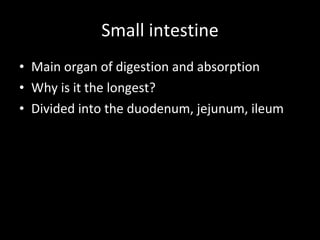Small intestine Main organ of digestion and absorption Why is it the longest? Divided into the duodenum, jejunum, ileum 