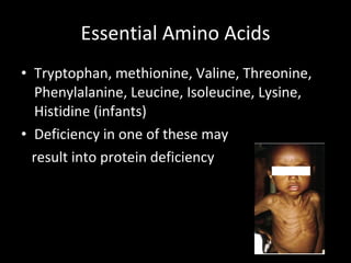 Essential Amino Acids Tryptophan, methionine, Valine, Threonine, Phenylalanine, Leucine, Isoleucine, Lysine, Histidine (infants) Deficiency in one of these may result into protein deficiency 