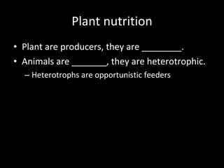 Plant nutrition Plant are producers, they are ________. Animals are _______, they are heterotrophic. Heterotrophs are opportunistic feeders 