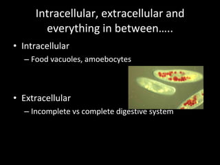 Intracellular, extracellular and everything in between….. Intracellular Food vacuoles, amoebocytes Extracellular Incomplete vs complete digestive system 