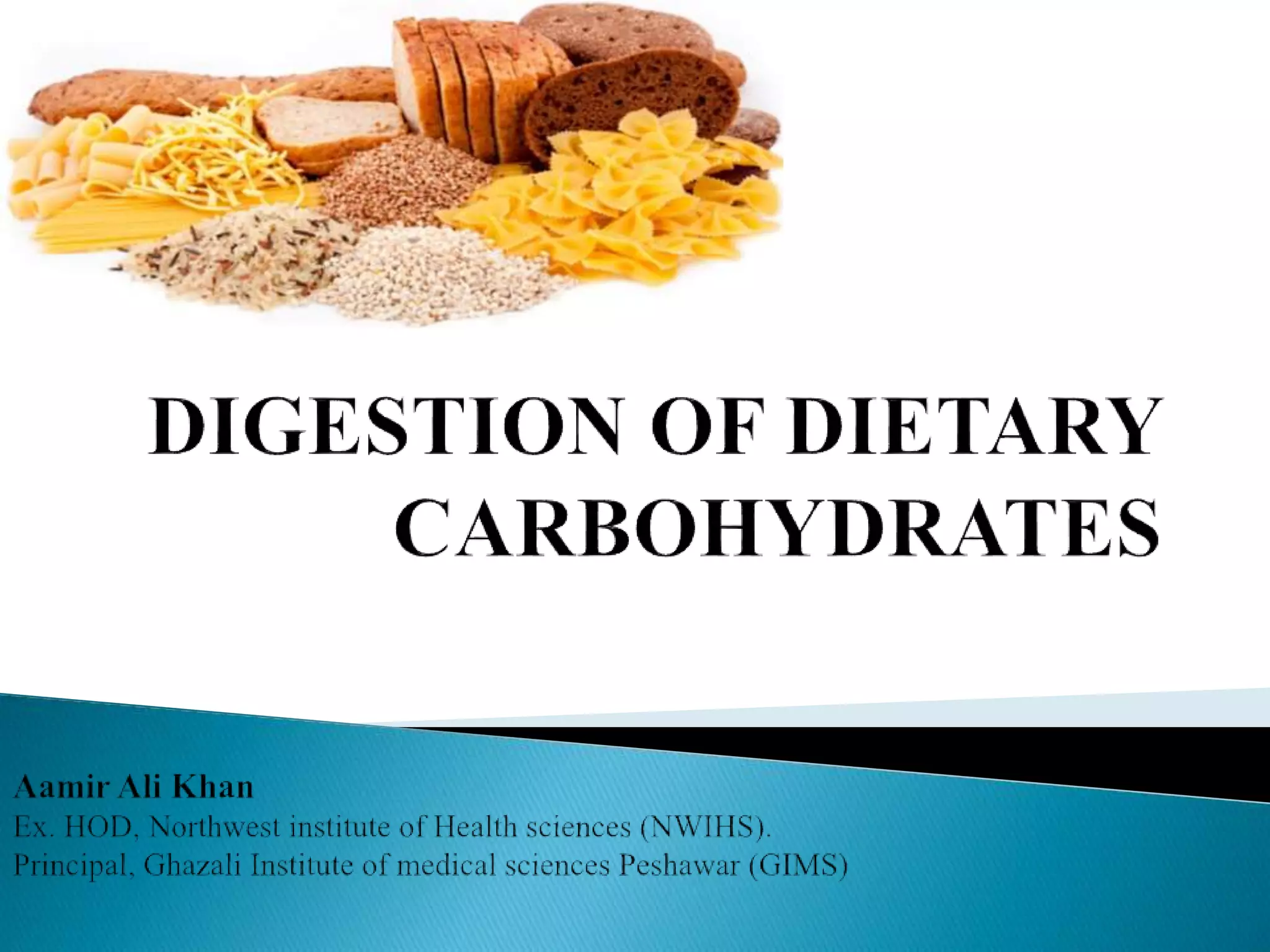 Digestion of carbohydrates PPT