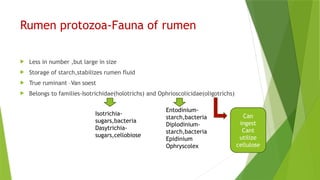DIGESTION_OF_CARBOHYDRATES_IN_RUMINANTS[1]-Megha.a.p.pptx