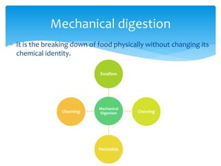 Digestion of food | PPTX