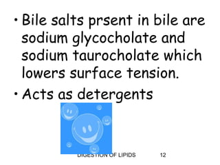 • Bile salts prsent in bile are
  sodium glycocholate and
  sodium taurocholate which
  lowers surface tension.
• Acts as detergents


          DIGESTION OF LIPIDS   12
 