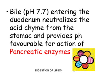 • Bile (pH 7.7) entering the
  duodenum neutralizes the
  acid chyme from the
  stomac and provides ph
  favourable for action of
  Pancreatic enzymes

         DIGESTION OF LIPIDS   13
 