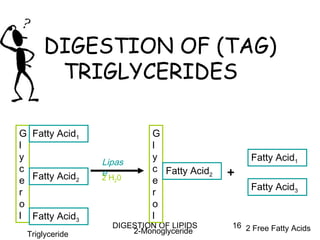 DIGESTION OF (TAG)
      TRIGLYCERIDES

G Fatty Acid1             G
l                         l
y                         y                    Fatty Acid1
                Lipas
c               eH 0      c Fatty Acid2   +
e Fatty Acid2   2 2       e
                                               Fatty Acid3
r                         r
o                         o
l Fatty Acid3             l
                  DIGESTION OF LIPIDS     16 2 Free Fatty Acids
 Triglyceride         2-Monoglyceride
 