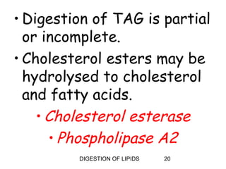 • Digestion of TAG is partial
  or incomplete.
• Cholesterol esters may be
  hydrolysed to cholesterol
  and fatty acids.
    • Cholesterol esterase
      • Phospholipase A2
         DIGESTION OF LIPIDS   20
 
