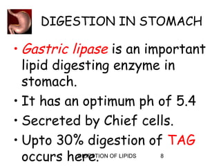 DIGESTION IN STOMACH

• Gastric lipase is an important
  lipid digesting enzyme in
  stomach.
• It has an optimum ph of 5.4
• Secreted by Chief cells.
• Upto 30% digestion of TAG
  occurs here. OF LIPIDS
            DIGESTION    8
 