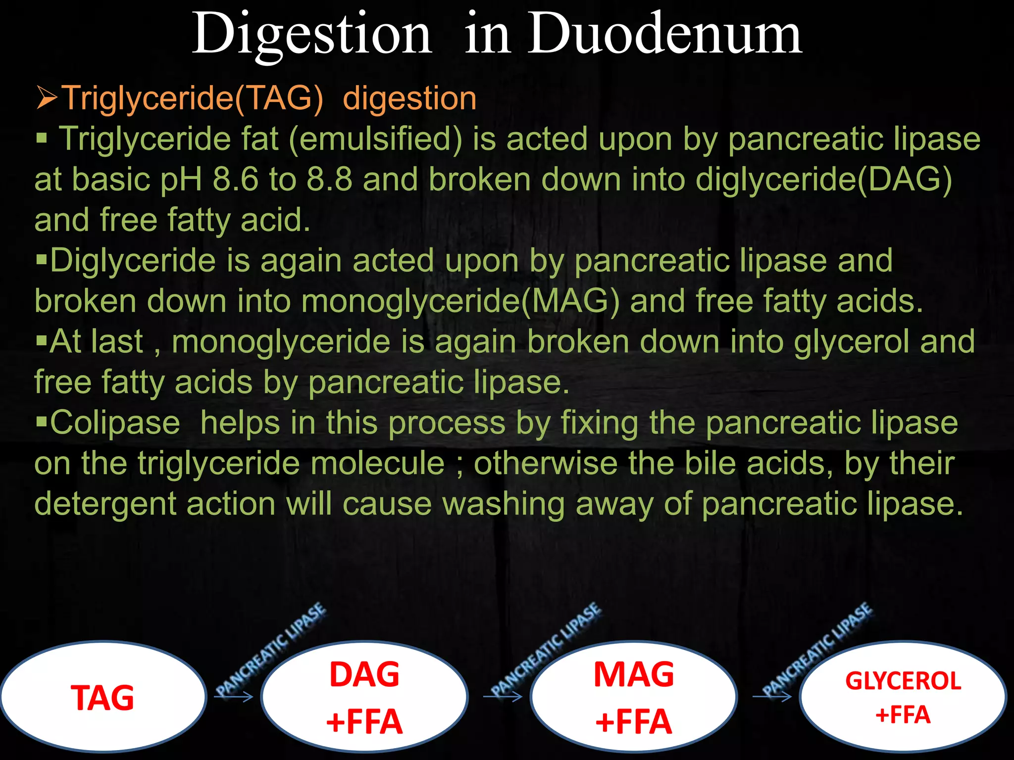 Triglyceride(TAG) digestion
 Triglyceride fat (emulsified) is acted upon by pancreatic lipase
at basic pH 8.6 to 8.8 and broken down into diglyceride(DAG)
and free fatty acid.
Diglyceride is again acted upon by pancreatic lipase and
broken down into monoglyceride(MAG) and free fatty acids.
At last , monoglyceride is again broken down into glycerol and
free fatty acids by pancreatic lipase.
Colipase helps in this process by fixing the pancreatic lipase
on the triglyceride molecule ; otherwise the bile acids, by their
detergent action will cause washing away of pancreatic lipase.
Digestion in Duodenum
TAG
DAG
+FFA
MAG
+FFA
GLYCEROL
+FFA
 