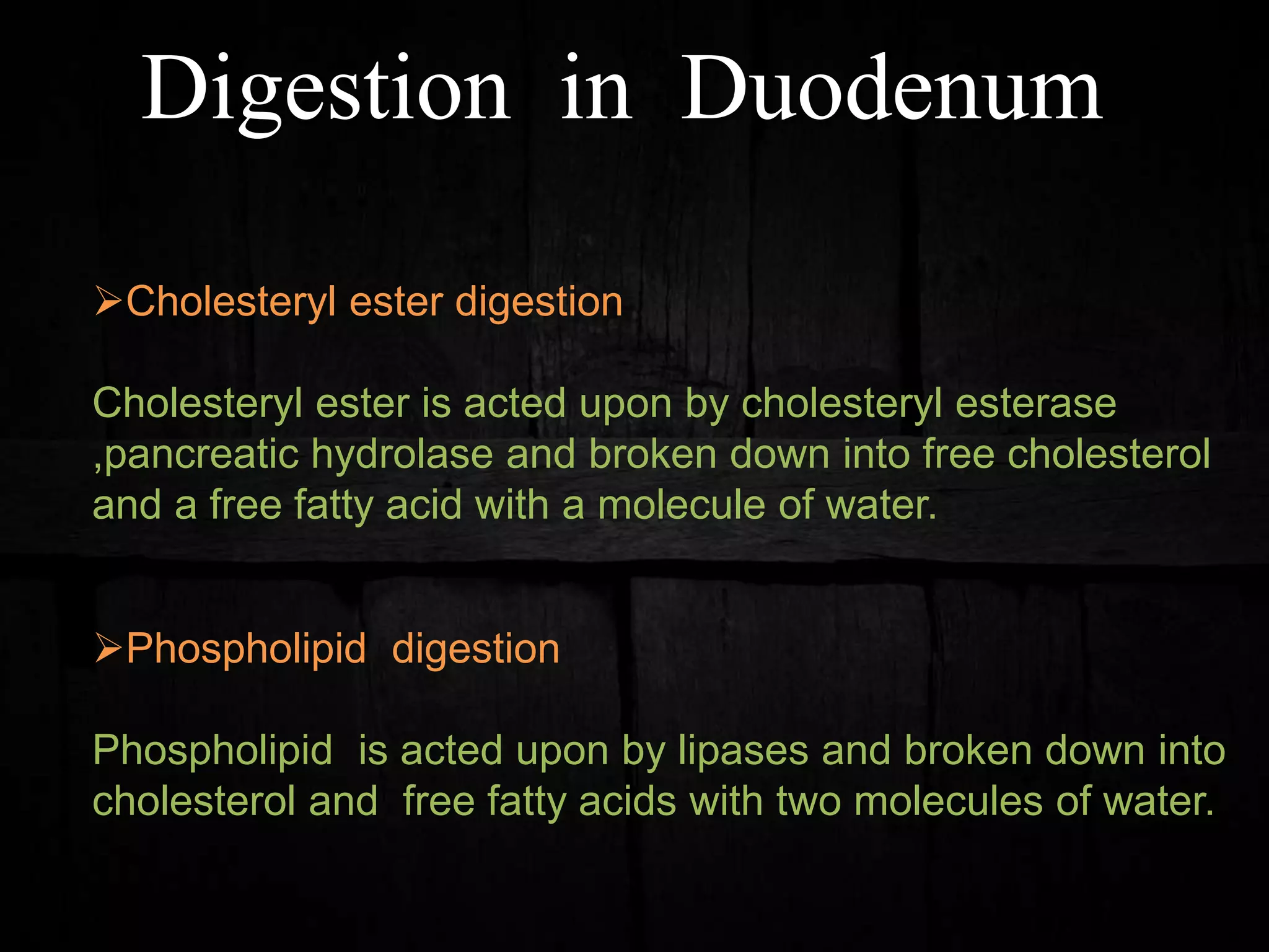 Digestion in Duodenum
Cholesteryl ester digestion
Cholesteryl ester is acted upon by cholesteryl esterase
,pancreatic hydrolase and broken down into free cholesterol
and a free fatty acid with a molecule of water.
Phospholipid digestion
Phospholipid is acted upon by lipases and broken down into
cholesterol and free fatty acids with two molecules of water.
 