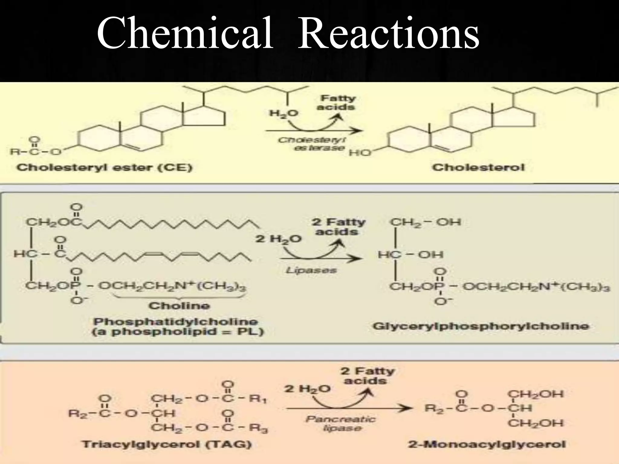 Chemical Reactions
 