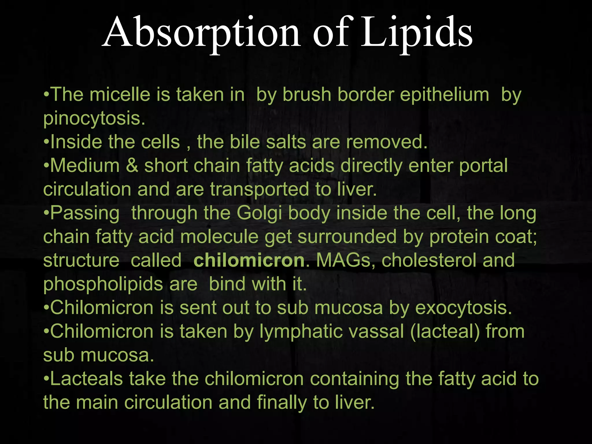 Absorption of Lipids
•The micelle is taken in by brush border epithelium by
pinocytosis.
•Inside the cells , the bile salts are removed.
•Medium & short chain fatty acids directly enter portal
circulation and are transported to liver.
•Passing through the Golgi body inside the cell, the long
chain fatty acid molecule get surrounded by protein coat;
structure called chilomicron. MAGs, cholesterol and
phospholipids are bind with it.
•Chilomicron is sent out to sub mucosa by exocytosis.
•Chilomicron is taken by lymphatic vassal (lacteal) from
sub mucosa.
•Lacteals take the chilomicron containing the fatty acid to
the main circulation and finally to liver.
 
