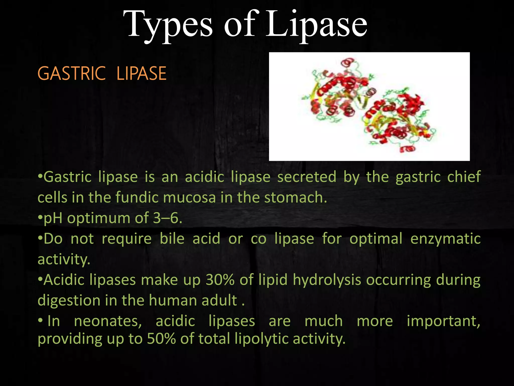 Types of Lipase
GASTRIC LIPASE
•Gastric lipase is an acidic lipase secreted by the gastric chief
cells in the fundic mucosa in the stomach.
•pH optimum of 3–6.
•Do not require bile acid or co lipase for optimal enzymatic
activity.
•Acidic lipases make up 30% of lipid hydrolysis occurring during
digestion in the human adult .
• In neonates, acidic lipases are much more important,
providing up to 50% of total lipolytic activity.
 