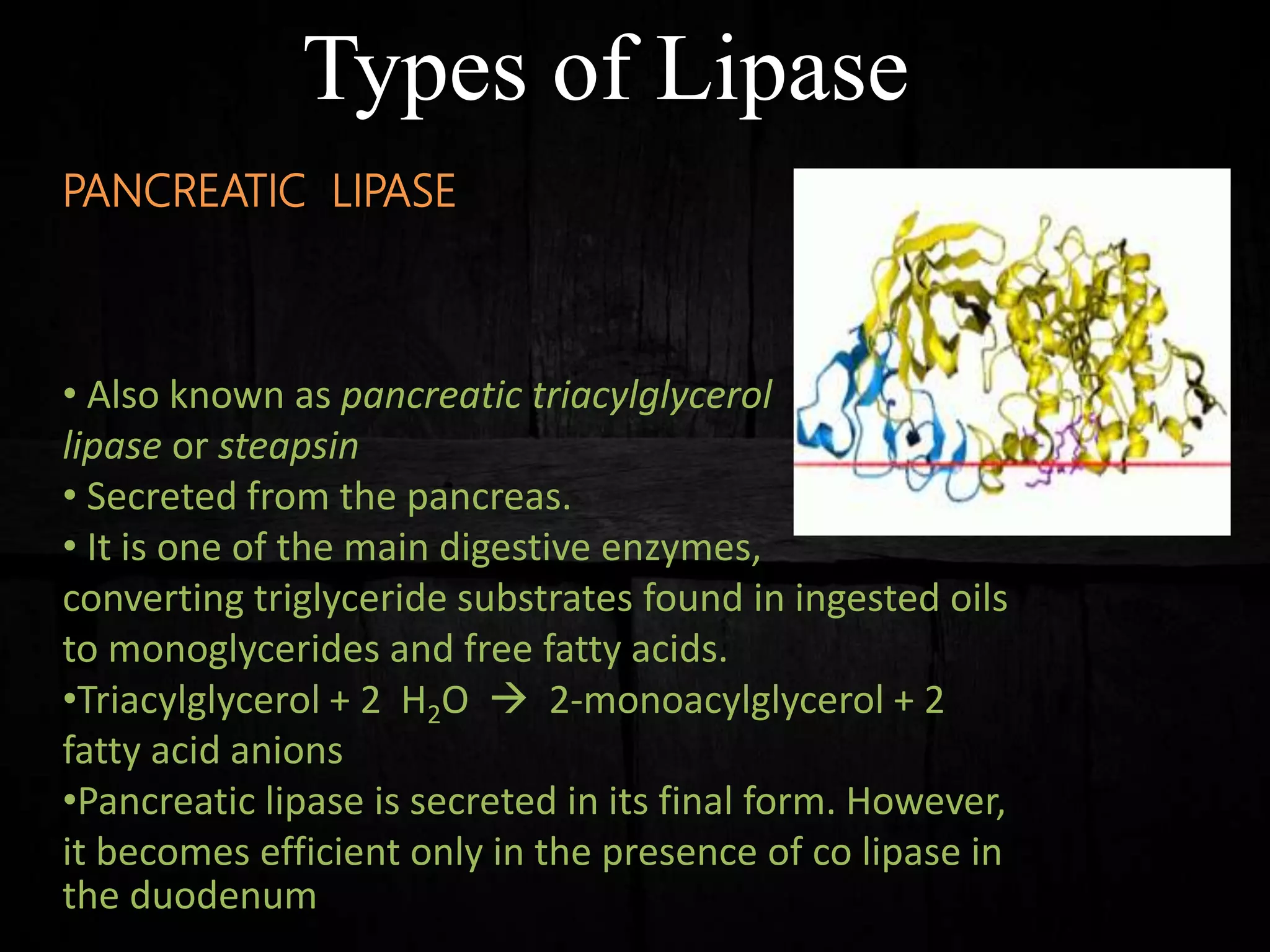 Types of Lipase
PANCREATIC LIPASE
• Also known as pancreatic triacylglycerol
lipase or steapsin
• Secreted from the pancreas.
• It is one of the main digestive enzymes,
converting triglyceride substrates found in ingested oils
to monoglycerides and free fatty acids.
•Triacylglycerol + 2 H2O  2-monoacylglycerol + 2
fatty acid anions
•Pancreatic lipase is secreted in its final form. However,
it becomes efficient only in the presence of co lipase in
the duodenum
 