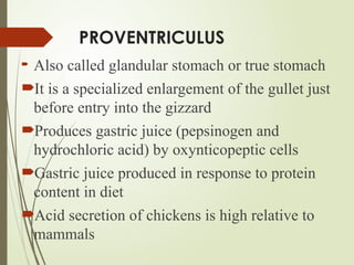 Proventriculus Poultry digestion in chickens found at GSA farm | PPTX