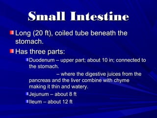 Digestion | PPT