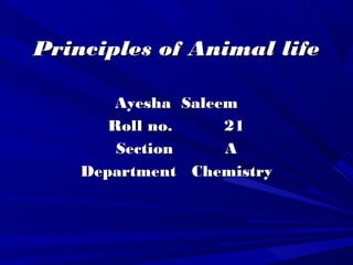 Principles of Animal lifePrinciples of Animal life
Ayesha SaleemAyesha Saleem
Roll no. 21Roll no. 21
Section ASection A
Department ChemistryDepartment Chemistry
 