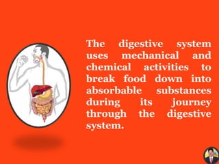 The digestive system
uses mechanical and
chemical activities to
break food down into
absorbable substances
during its journey
through the digestive
system.
 