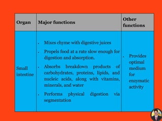 Organ Major functions
Other
functions
Small
intestine
 Mixes chyme with digestive juices
 Propels food at a rate slow enough for
digestion and absorption.
 Absorbs breakdown products of
carbohydrates, proteins, lipids, and
nucleic acids, along with vitamins,
minerals, and water
 Performs physical digestion via
segmentation
 Provides
optimal
medium
for
enzymatic
activity
 