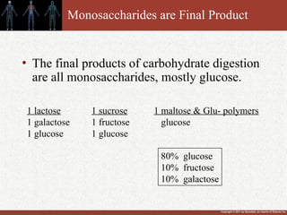 Copyright © 2011 by Saunders, an imprint of Elsevier Inc.
Monosaccharides are Final Product
• The final products of carbohydrate digestion
are all monosaccharides, mostly glucose.
1 lactose
1 galactose
1 glucose
1 sucrose
1 fructose
1 glucose
1 maltose & Glu- polymers
glucose
80% glucose
10% fructose
10% galactose
 