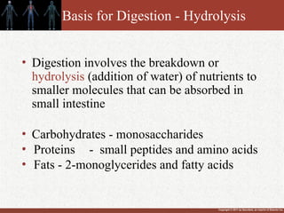 Copyright © 2011 by Saunders, an imprint of Elsevier Inc.
Basis for Digestion - Hydrolysis
• Digestion involves the breakdown or
hydrolysis (addition of water) of nutrients to
smaller molecules that can be absorbed in
small intestine
• Carbohydrates - monosaccharides
• Proteins - small peptides and amino acids
• Fats - 2-monoglycerides and fatty acids
 