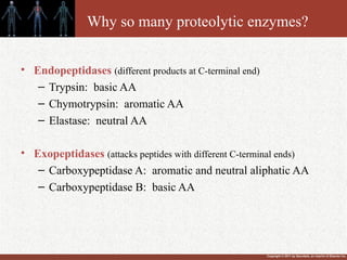 Copyright © 2011 by Saunders, an imprint of Elsevier Inc.
Why so many proteolytic enzymes?
• Endopeptidases (different products at C-terminal end)
– Trypsin: basic AA
– Chymotrypsin: aromatic AA
– Elastase: neutral AA
• Exopeptidases (attacks peptides with different C-terminal ends)
– Carboxypeptidase A: aromatic and neutral aliphatic AA
– Carboxypeptidase B: basic AA
 