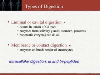 Copyright © 2011 by Saunders, an imprint of Elsevier Inc.
Types of Digestion
• Luminal or cavital digestion -
- occurs in lumen of GI tract
- enzymes from salivary glands, stomach, pancreas
- pancreatic enzymes can do all
• Membrane or contact digestion -
- enzymes on brush border of enterocytes
Intracellular digestion: di and tri-peptides
 