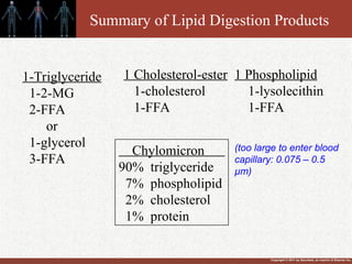 Copyright © 2011 by Saunders, an imprint of Elsevier Inc.
Summary of Lipid Digestion Products
1-Triglyceride
1-2-MG
2-FFA
or
1-glycerol
3-FFA
1 Cholesterol-ester
1-cholesterol
1-FFA
1 Phospholipid
1-lysolecithin
1-FFA
Chylomicron
90% triglyceride
7% phospholipid
2% cholesterol
1% protein
(too large to enter blood
capillary: 0.075 – 0.5
µm)
 