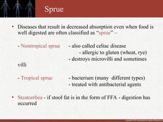 Copyright © 2011 by Saunders, an imprint of Elsevier Inc.
Sprue
• Diseases that result in decreased absorption even when food is
well digested are often classified as “sprue” –
- Nontropical sprue - also called celiac disease
- allergic to gluten (wheat, rye)
- destroys microvilli and sometimes
villi
- Tropical sprue - bacterium (many different types)
- treated with antibacterial agents
• Steatorrhea - if stool fat is in the form of FFA - digestion has
occurred
 