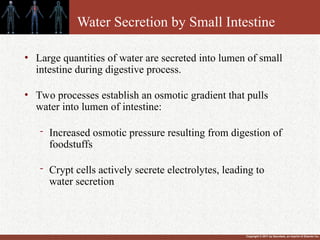 Copyright © 2011 by Saunders, an imprint of Elsevier Inc.
Water Secretion by Small Intestine
• Large quantities of water are secreted into lumen of small
intestine during digestive process.
• Two processes establish an osmotic gradient that pulls
water into lumen of intestine:
- Increased osmotic pressure resulting from digestion of
foodstuffs
- Crypt cells actively secrete electrolytes, leading to
water secretion
 