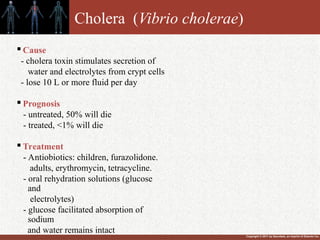 Copyright © 2011 by Saunders, an imprint of Elsevier Inc.
Cholera (Vibrio cholerae)

Cause
- cholera toxin stimulates secretion of
water and electrolytes from crypt cells
- lose 10 L or more fluid per day

Prognosis
- untreated, 50% will die
- treated, <1% will die

Treatment
- Antiobiotics: children, furazolidone.
adults, erythromycin, tetracycline.
- oral rehydration solutions (glucose
and
electrolytes)
- glucose facilitated absorption of
sodium
and water remains intact
 