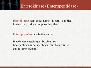 Copyright © 2011 by Saunders, an imprint of Elsevier Inc.
Enterokinase (Enteropeptidase)
Enteropeptidase is a better name.
It activates trypsinogen by cleaving a
hexapeptide (or octapeptide) from N-terminal
end to form trypsin.
Enterokinase is an older name. It is not a typical
kinase (i.e., it does not phosphorylate)
 