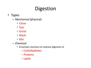 Digestion
• Types
– Mechanical (physical)
• Chew
• Tear
• Grind
• Mash
• Mix
– Chemical
• Enzymatic reactions to improve digestion of
– Carbohydrates
– Proteins
– Lipids
 