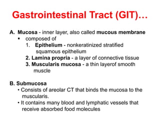 Compose Tract digestion system.pptx