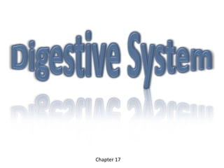 Digestive System Chapter 17  
