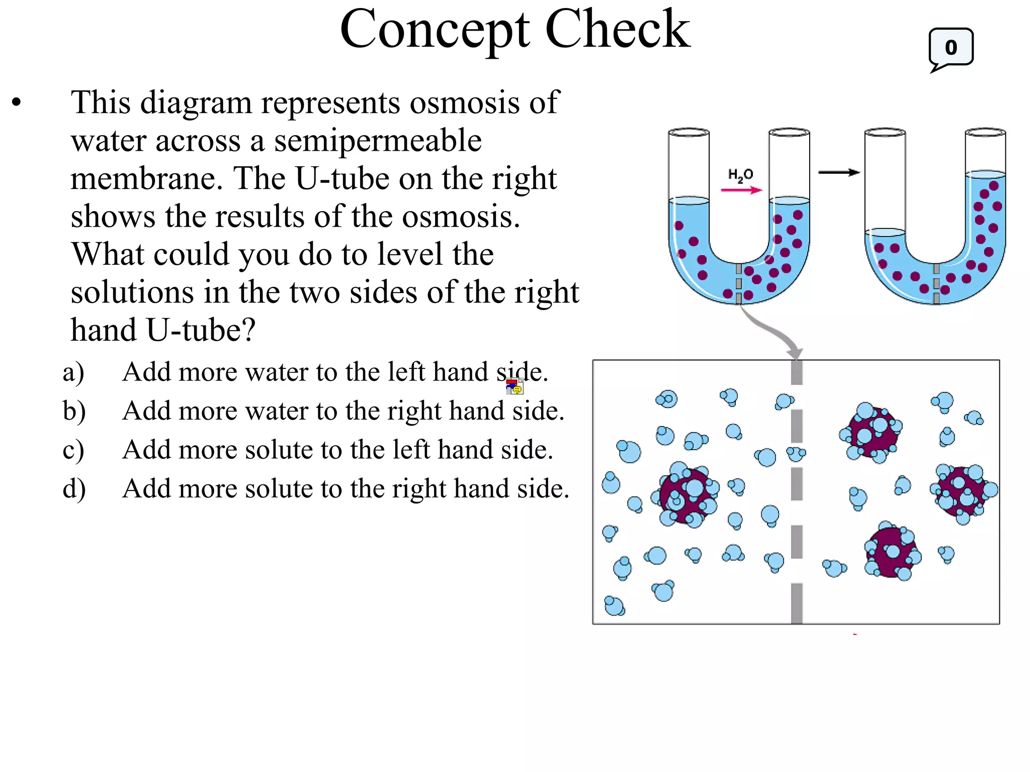 Concept Check This diagram represents osmosis of water across a semipermeable membrane. The U-tube on the right shows the results of the osmosis.  What could you do to level the solutions in the two sides of the right hand U-tube? Add more water to the left hand side. Add more water to the right hand side.  Add more solute to the left hand side.  Add more solute to the right hand side. 0 