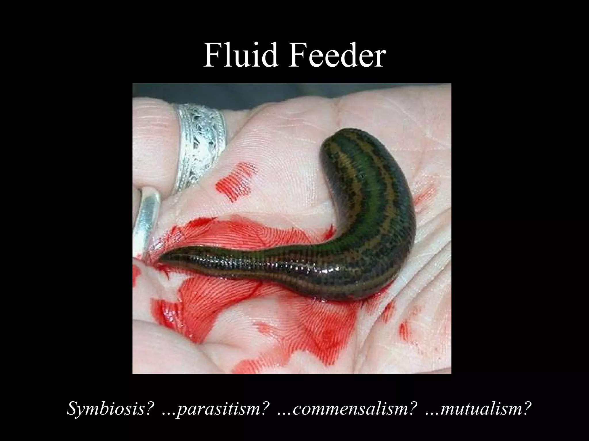 Fluid Feeder Symbiosis? …parasitism? …commensalism? …mutualism? 