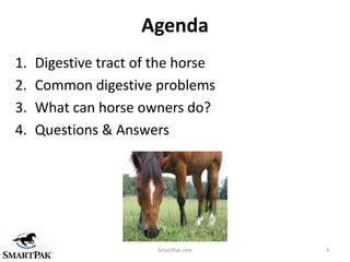 Agenda
1.   Digestive tract of the horse
2.   Common digestive problems
3.   What can horse owners do?
4.   Questions & An...