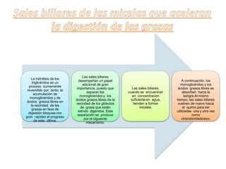 La hidrólisis de los
triglicéridos es un
proceso sumamente
reversible; por tanto, la
acumulación de
monoglicéridos y de
ácidos grasos libres en
la vecindad de las
grasas en fase de
digestión bloquea con
gran rapidez el progreso
de esta última.
Las sales biliares
desempeñan un papel
adicional de gran
importancia, puesto que
separan los
monoglicéridos y los
ácidos grasos libres de la
vecindad de los glóbulos
de grasa que están
siendo digeridos. Esta
separación se produce
por el siguiente
mecanismo.
Las sales biliares,
cuando se encuentran
en concentración
suficiente en agua,
tienden a formar
micelas.
A continuación, los
monoglicéridos y los
ácidos grasos libres se
absorben hacia la
sangre.Al mismo
tiempo, las sales biliares
vuelven de nuevo hacia
el quimo para ser
utilizadas una y otra vez
como
«transbordadores».
 
