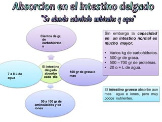 El intestino
delgado
absorbe
cada día
Cientos de gr.
de
carbohidrato
s
100 gr de grasa o
mas
50 a 100 gr de
aminoácidos y de
iones
7 a 8 L de
agua
Sin embargo la capacidad
en un intestino normal es
mucho mayor.
• Varios kg de carbohidratos.
• 500 gr de grasa.
• 500 – 700 gr de proteínas.
• 20 o + L de agua.
El intestino grueso absorbe aun
mas agua e iones, pero muy
pocos nutrientes.
 