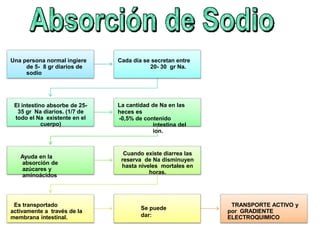 Una persona normal ingiere
de 5- 8 gr diarios de
sodio
Cada día se secretan entre
20- 30 gr Na.
El intestino absorbe de 25-
35 gr Na diarios. (1/7 de
todo el Na existente en el
cuerpo)
La cantidad de Na en las
heces es
-0,5% de contenido
intestina del
ion.
Ayuda en la
absorción de
azúcares y
aminoácidos
Cuando existe diarrea las
reserva de Na disminuyen
hasta niveles mortales en
horas.
Es transportado
activamente a través de la
membrana intestinal.
Se puede
dar:
TRANSPORTE ACTIVO y
por GRADIENTE
ELECTROQUIMICO
 